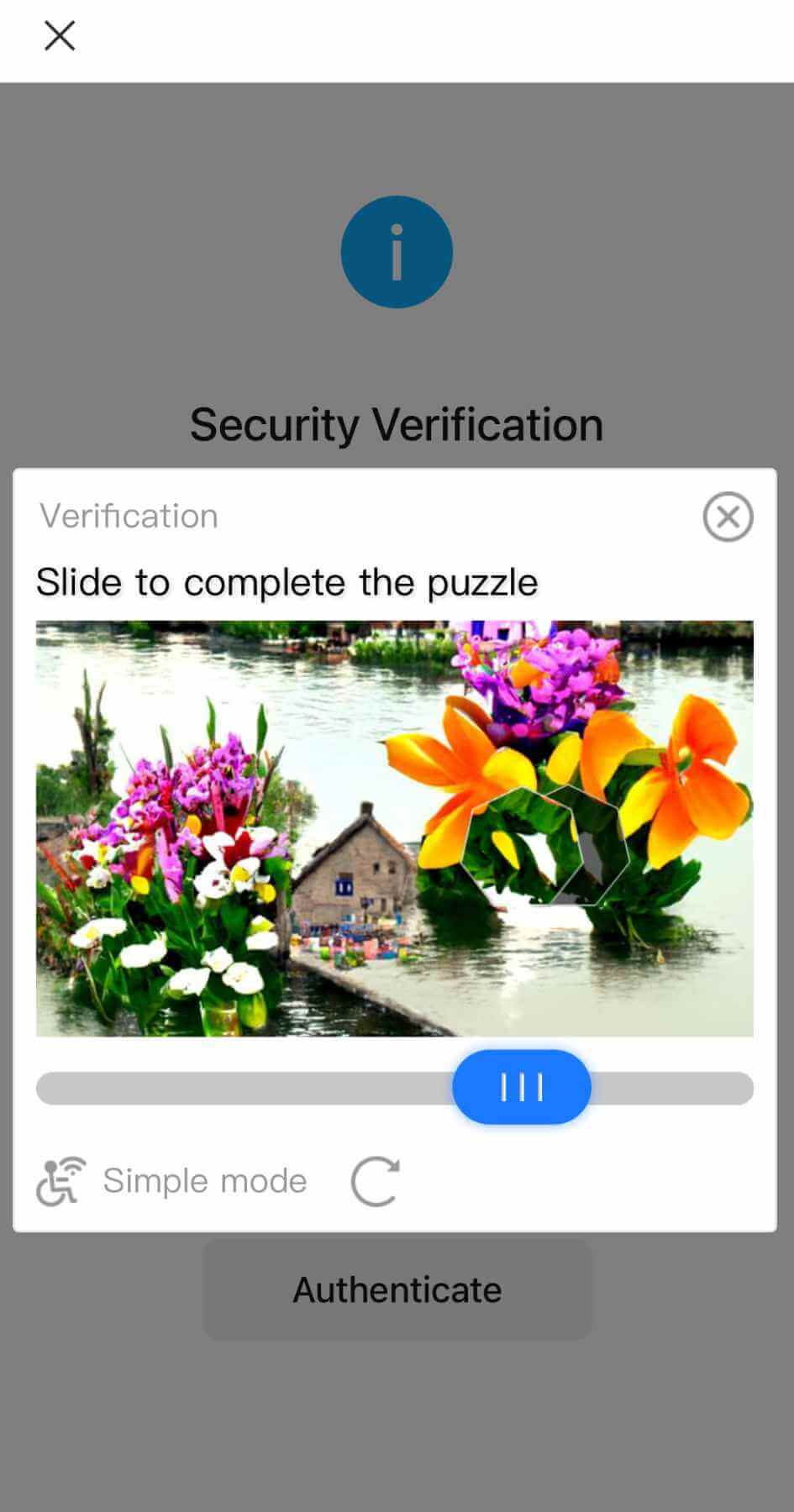 Picture security verification